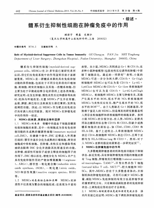 髓系衍生抑制性细胞在肿瘤免疫中的作用