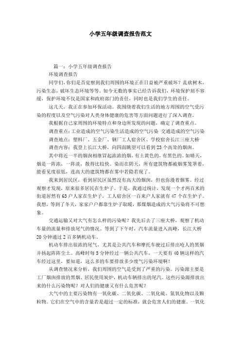 小学五年级调查报告范文-总结报告模板