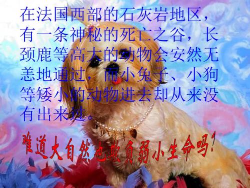 大自然中的二氧化碳