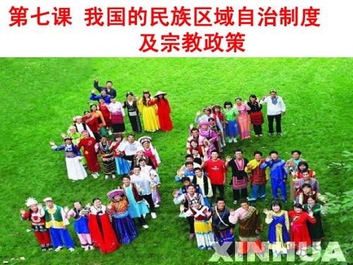孙克菊高三政治一轮复习课件政治生活第7课