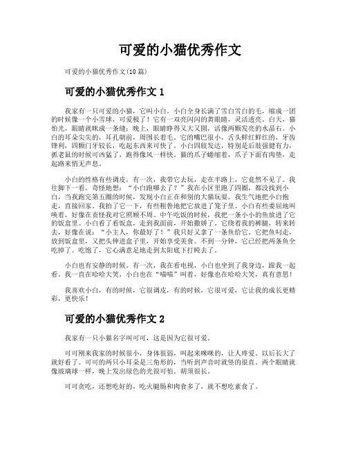 可爱的小猫优秀作文