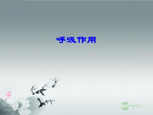 八年级生物上册 呼吸作用及其利用课件 冀教版