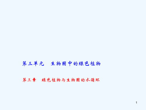 中考生物第三章绿色植物与生物圈的水循环复习课件