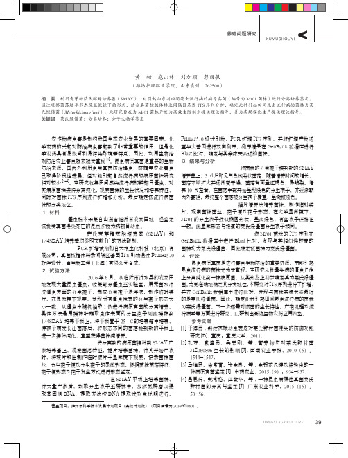 一株昆虫病原真菌的分离与鉴定