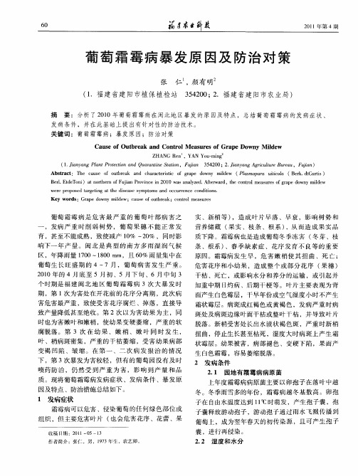 葡萄霜霉病暴发原因及防治对策
