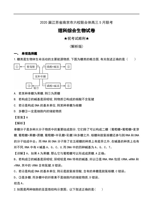 2020届江苏省南京市六校联合体高三5月联考理科综合生物试卷及解析