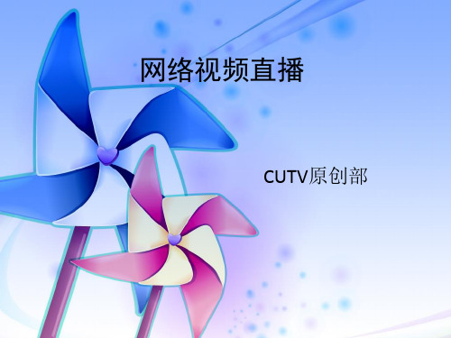 网络直播培训 ppt课件