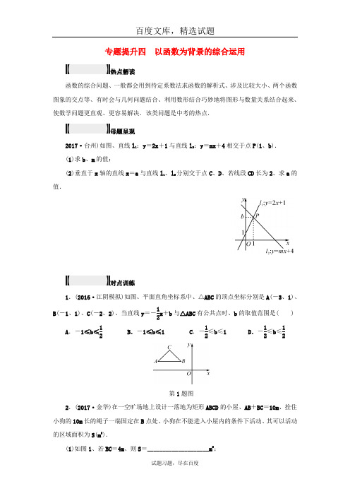 浙江省2019年中考数学总复习专题提升试题四 以函数为背景的综合运用