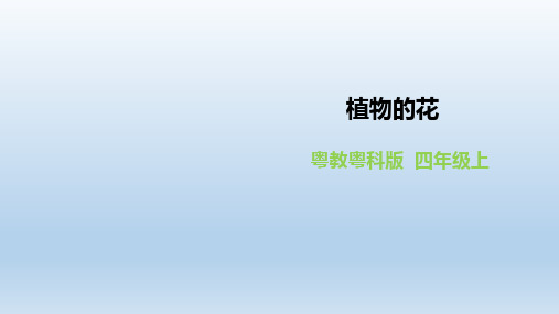 四年级上册科学课件-1.5《植物的花》l 粤教版(共20张PPT)