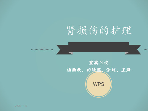 肾损伤的护理 ppt课件
