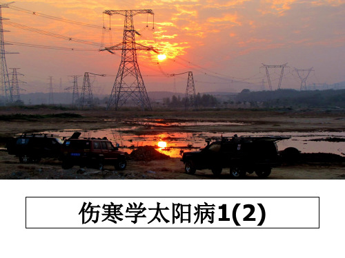 最新伤寒学太阳病1(2)课件ppt