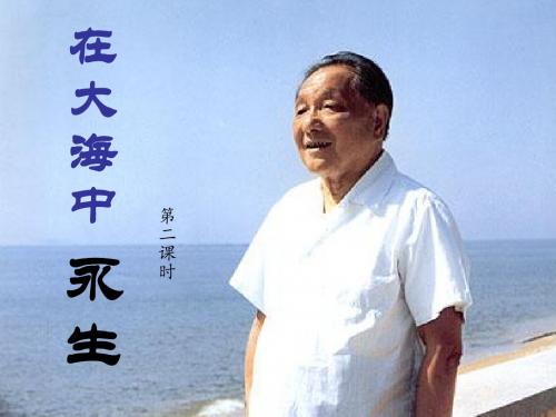 最新苏教版五年级语文上册：13在大海中永生 第二课时