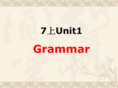 牛津译林版七年级英语上册复习课件： Unit1 Grammar    
