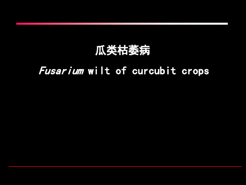 瓜类枯萎病
