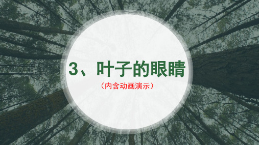 苏教版语文一年级下册第三课《叶子的眼睛》ppt
