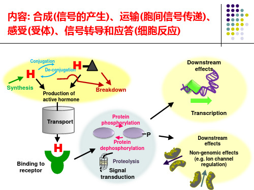 植物生理专题  2015 激素信号转导