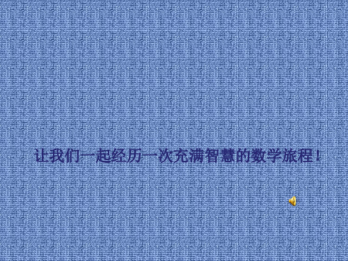 认识等式和方程