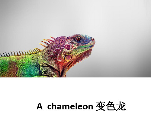 牛津英语选修八Unit1Reading(共21张PPT)PPT