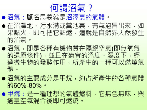 生物质能沼气