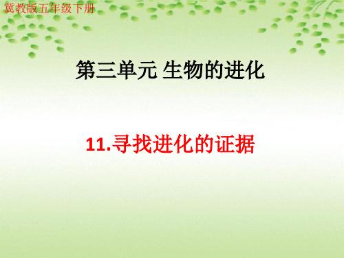 冀教版(冀人版)五年级下册科学《寻找进化的证据》精编PPT课件