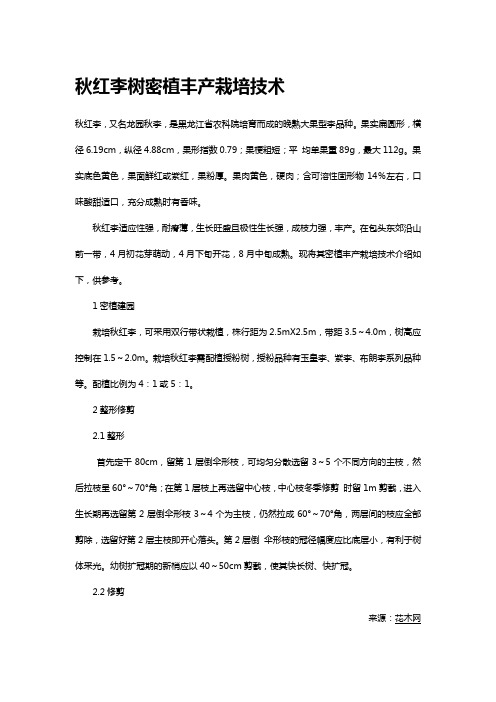 秋红李树密植丰产栽培技术