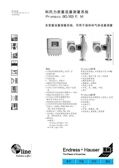 E+H质量流量计