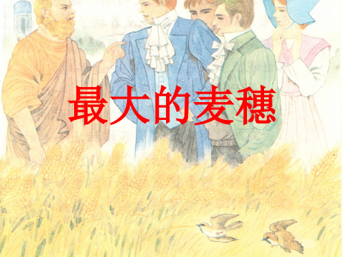 新国标苏教版小学六年级语文下册16《最大的麦穗》ppt课件(2)