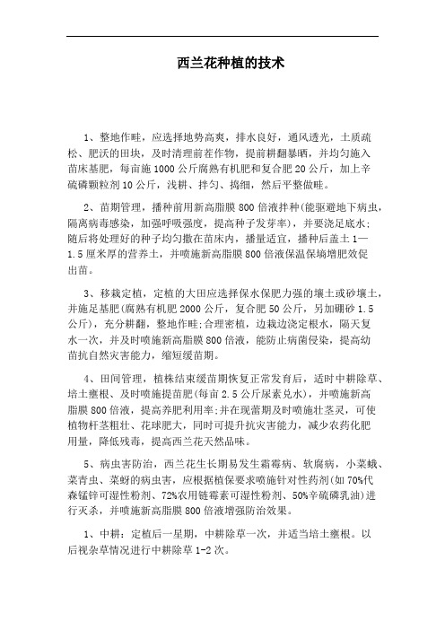 西兰花种植的技术