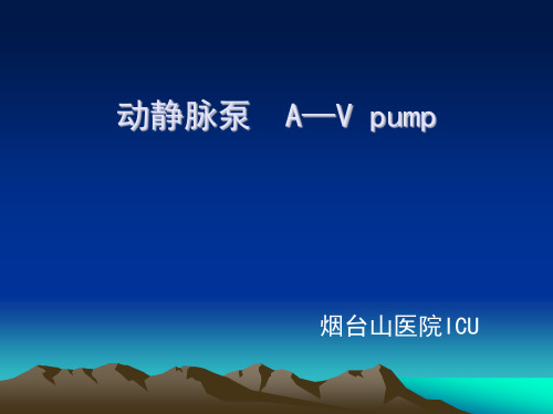 动静脉泵