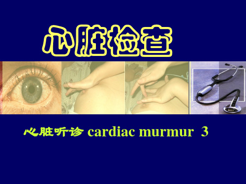 心脏听诊3