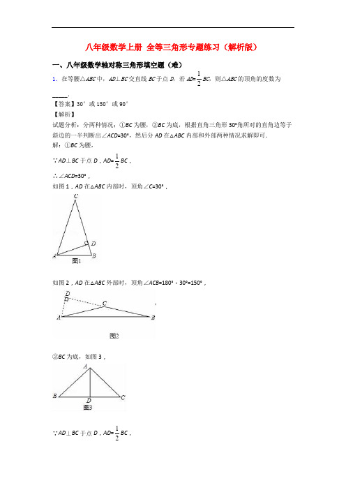 八年级数学上册 全等三角形专题练习(解析版)