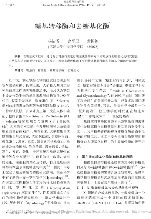 【VIP专享】糖基转移酶和去糖基化酶