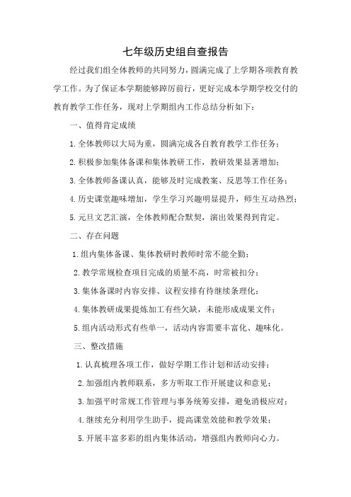 七年级历史组自查报告