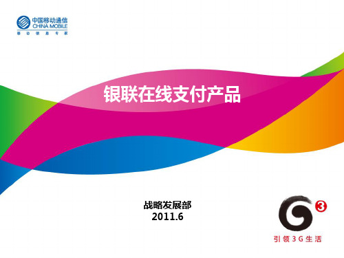 银联在线支付产品背景与意义(ppt 29页)