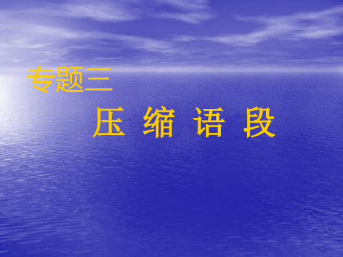 2020年高考语文总复习：压缩语段