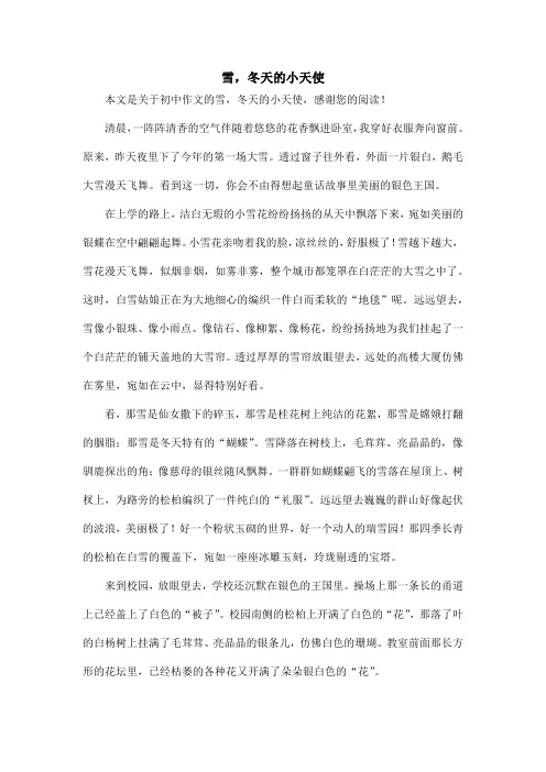 雪,冬天的小天使_初中作文