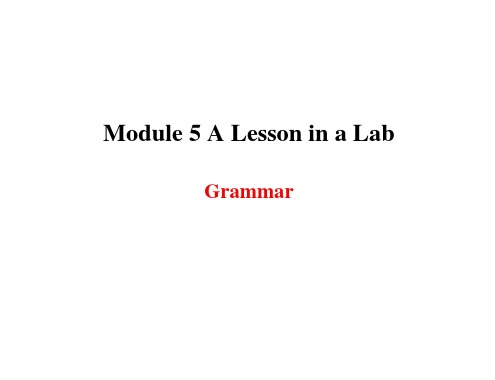 高中英语(外研必修一)优质教学课件：Module5Grammar