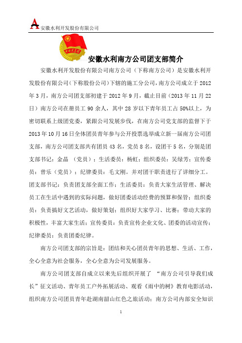 安徽水利南方公司团支部简介