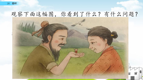 枣核-PPT经典课件1