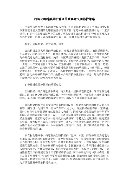 浅谈公路桥梁养护管理的重要意义和养护策略