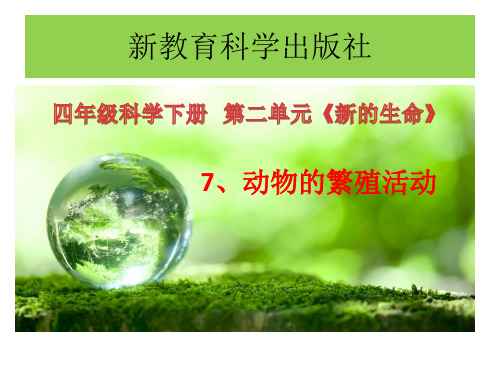 四年级下册科学课件-2.7动物的繁殖活动   ｜教科版           (共17张PPT)