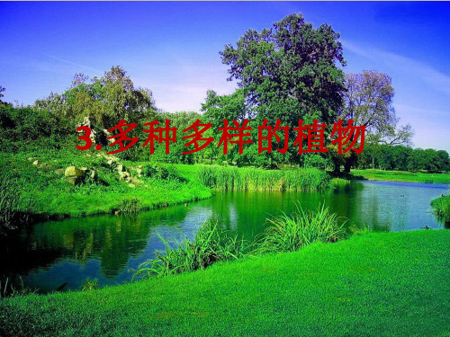 六年级上-多种多样的植物 教科版11张ppt)
