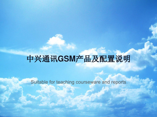 中兴通讯GSM产品及配置说明