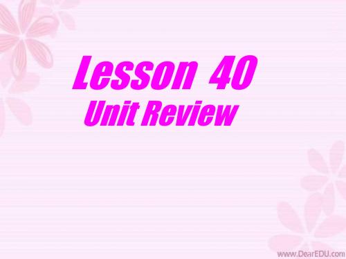 初三英语Lesson40课件冀教版.ppt