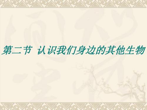 北京课标版生物七年级上册第一章第二节 认识我们身边的其他生物 课件共31张PPT)
