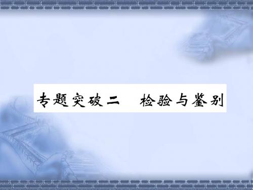 (百色专版)2019届中考化学复习第2编重点专题突破篇专题突破2检验与鉴别(精讲)