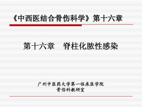 第十六章 脊柱化脓性感染