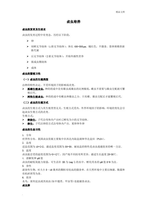 卤虫培养