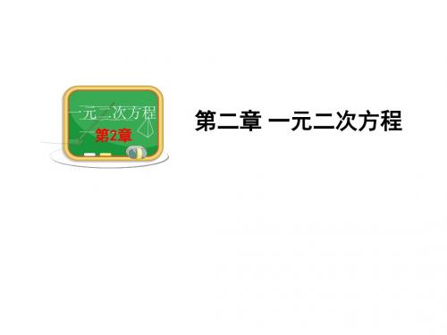 湘教版九年级上册数学课件：2.3一元二次方程根的判别式(共17张PPT)