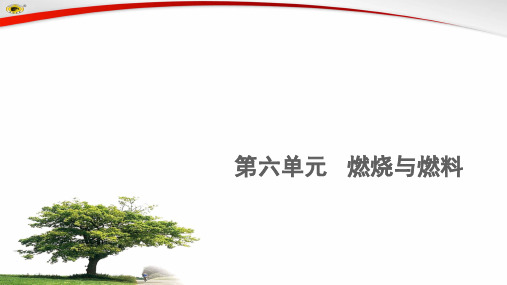 鲁教版九年级上化学6.1燃烧和灭火(共41张ppt)